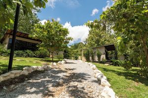 Alojamiento - Hotel Banyan Doradal