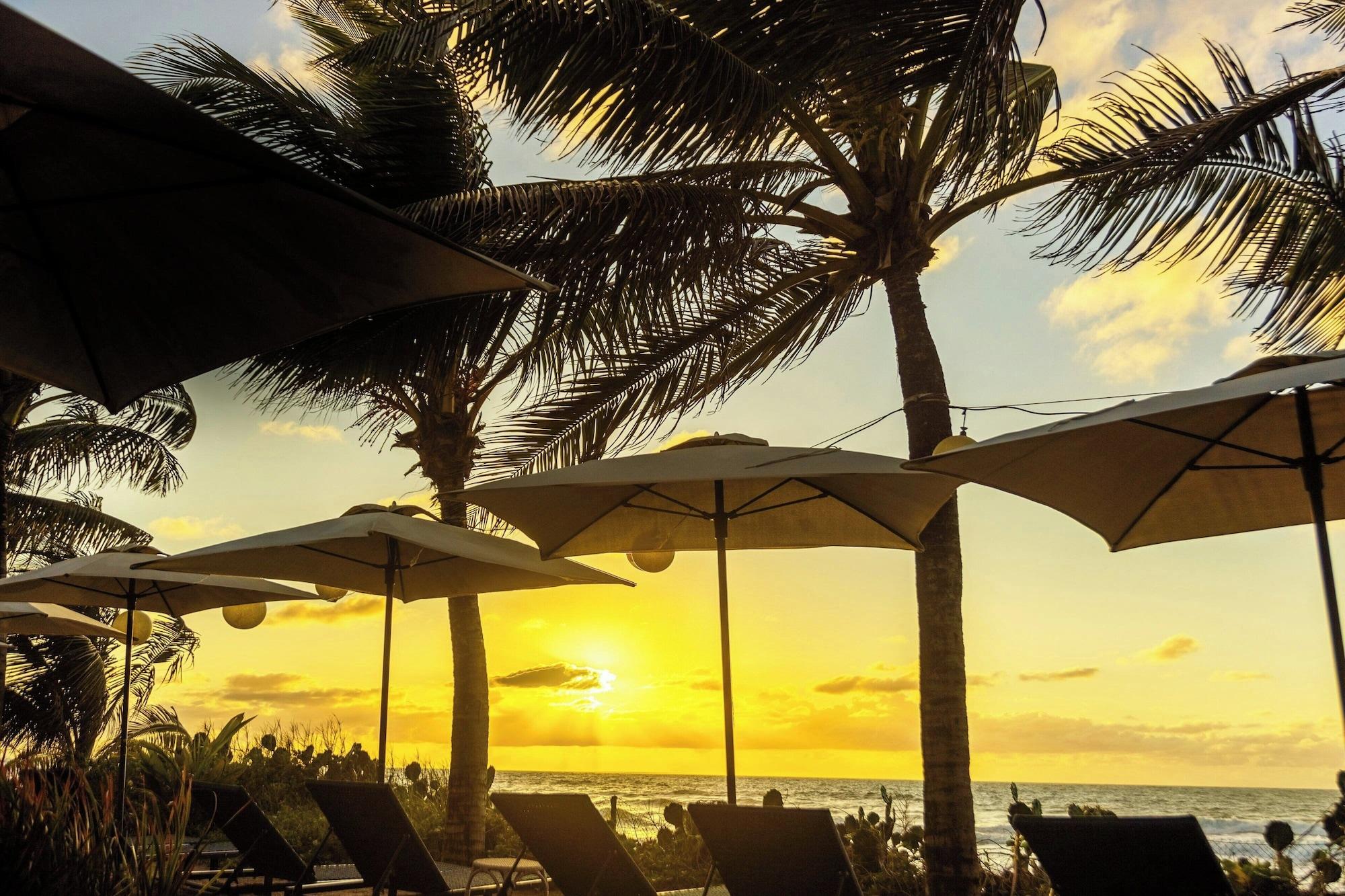 Playa The Westin Porto de Galinhas, an All-Inclusive Resort
