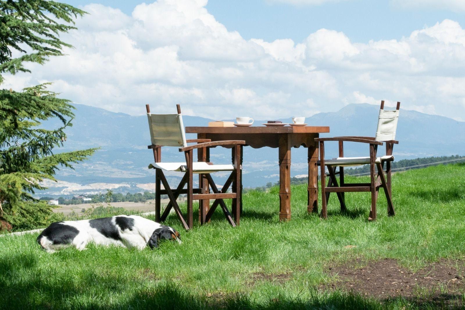 Restaurant Villa Neva Hotel