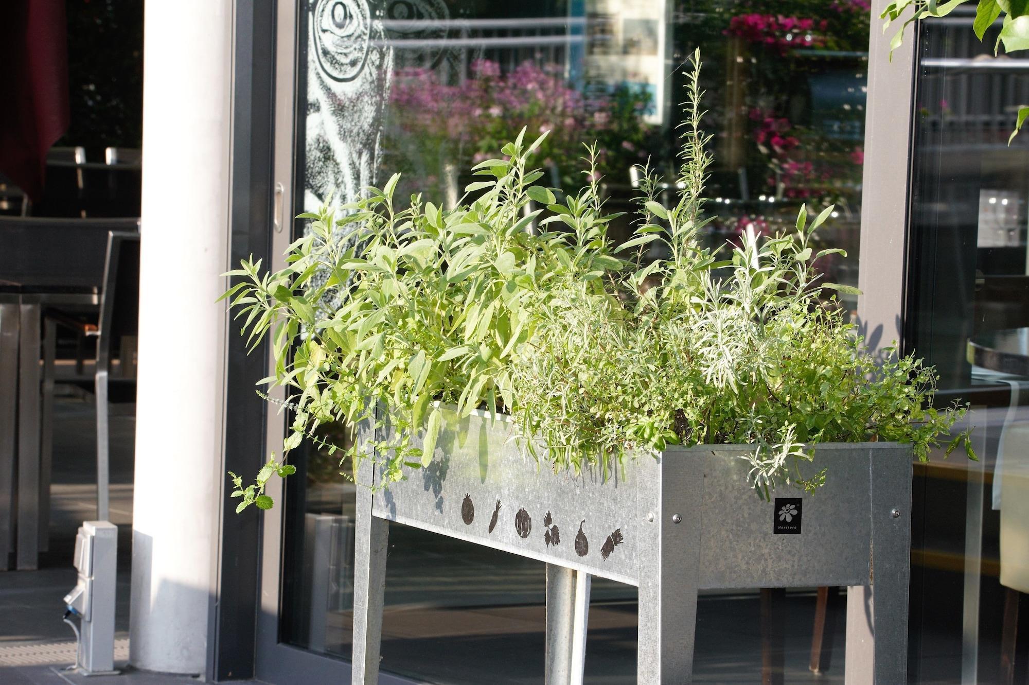 Varios Hotel Eberhards am Wasser