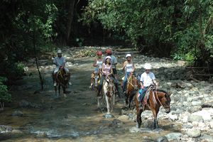Actividad - Paseos a caballo con Manuel Antonio