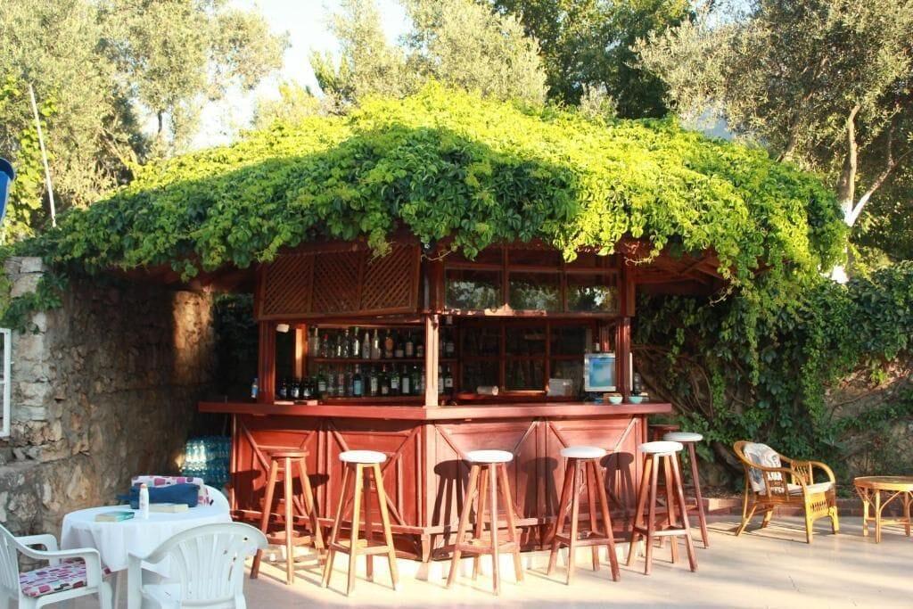 Bar/Salón Elze Hotel