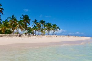 Actividad - Los Haitises National Park & Cayo Levantado Island