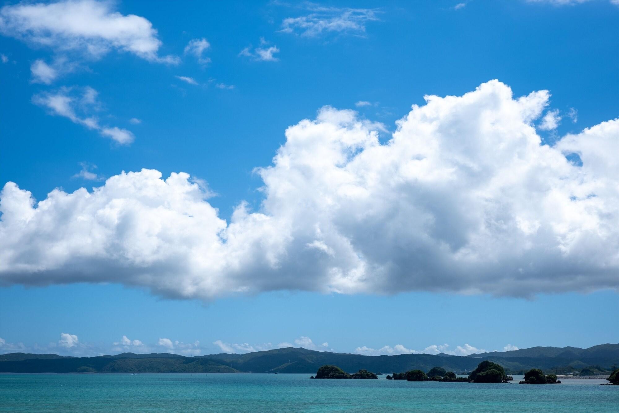 Playa One Suite The Terrace