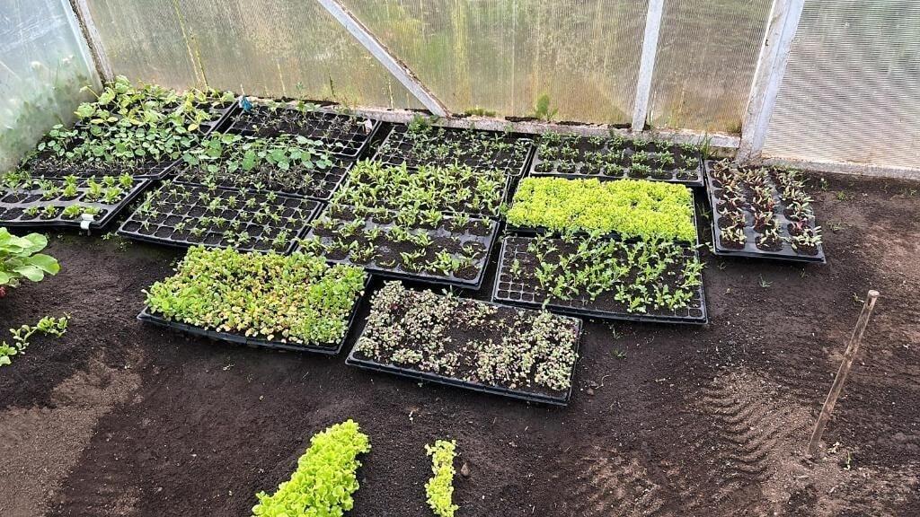 Comodidades del Alojamiento Hotel Patagonia House