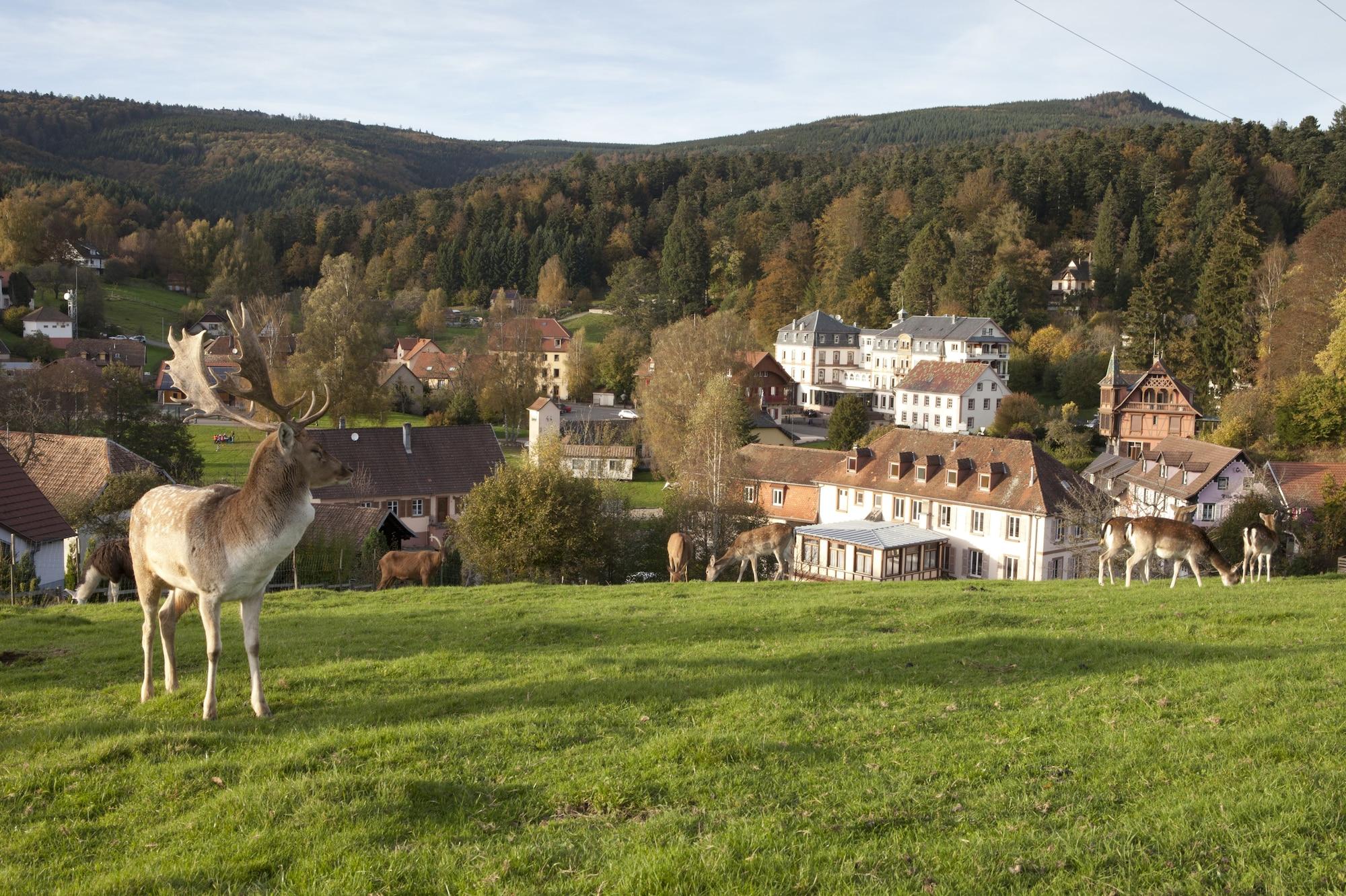 Vista Exterior Le Grand Hotel Du Hohwald