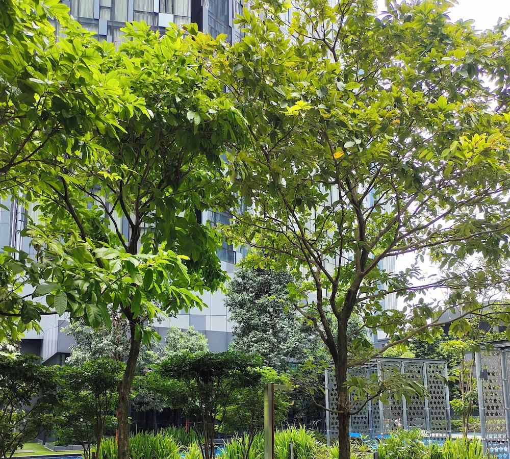 Vista Exterior Star KLCC By Moonlight