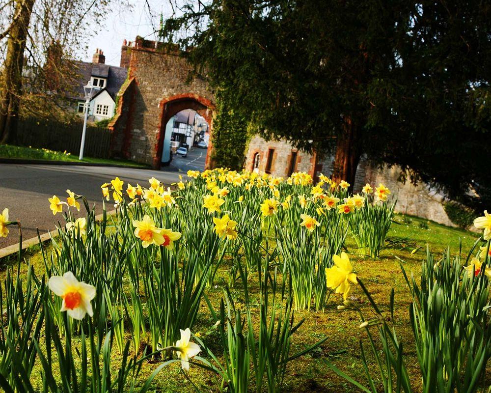 Vista Exterior Ruthin Castle Hotel
