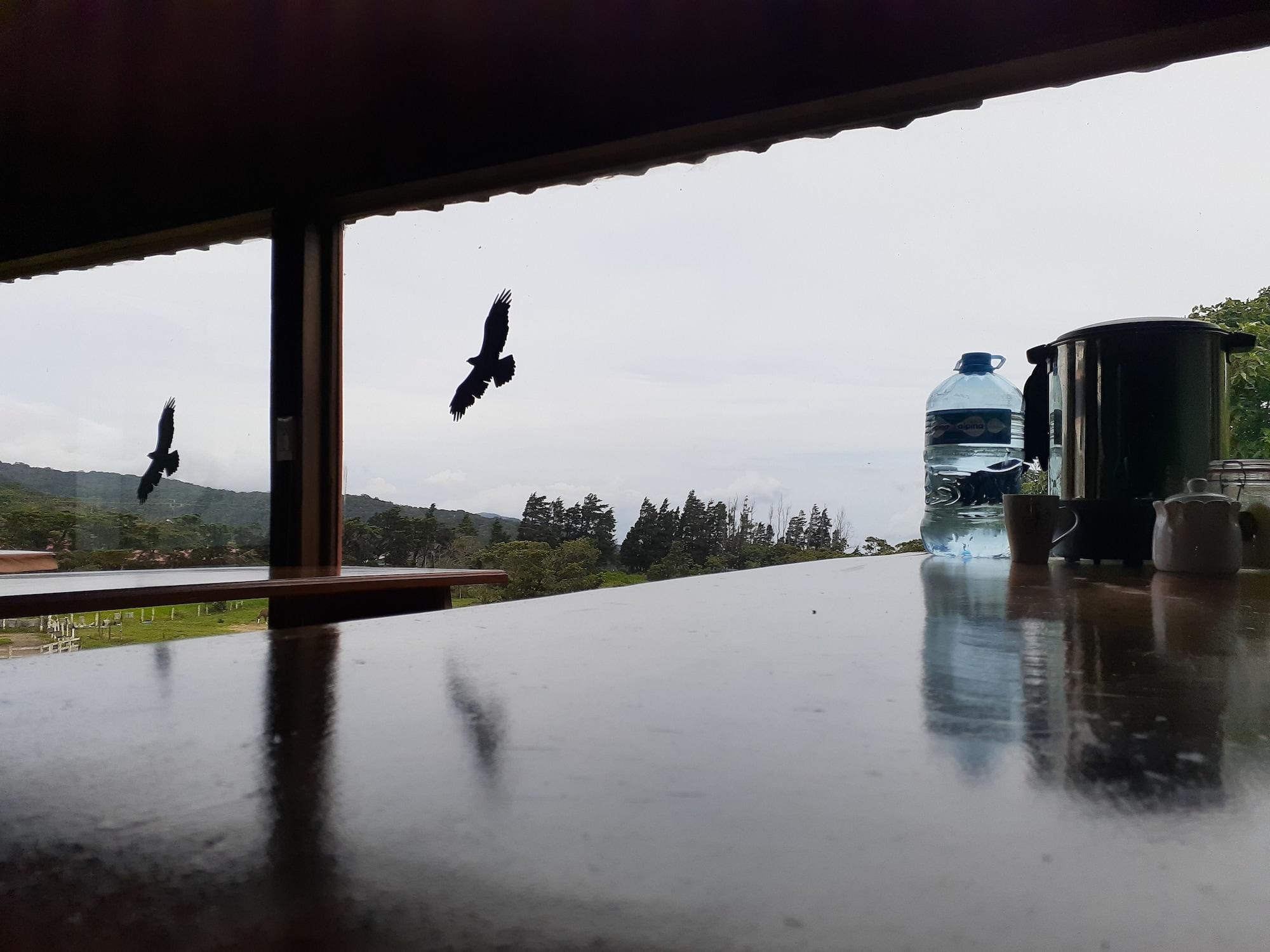 Set de Habitación Hostel La Suerte