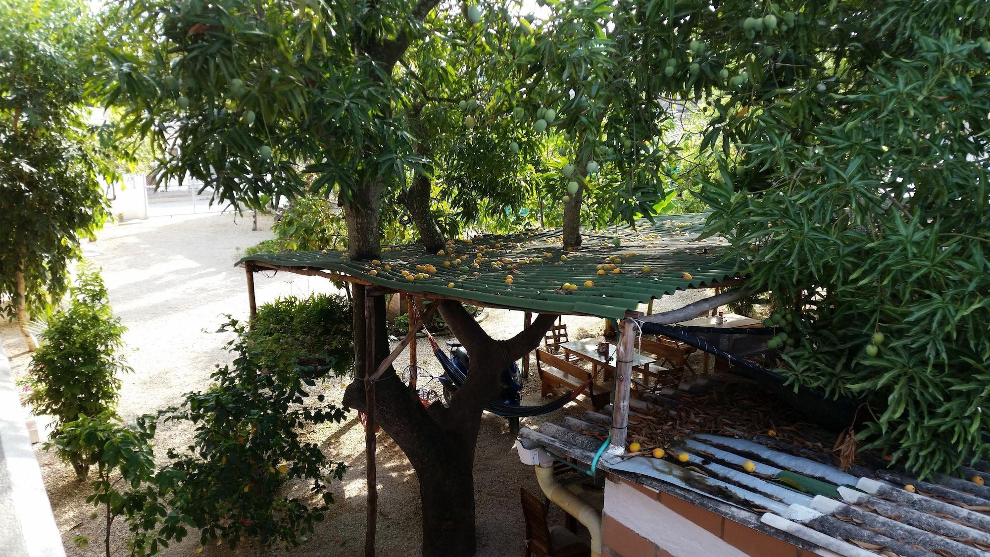 Comodidades del Alojamiento Hotel Pizzeria Opera Tolu