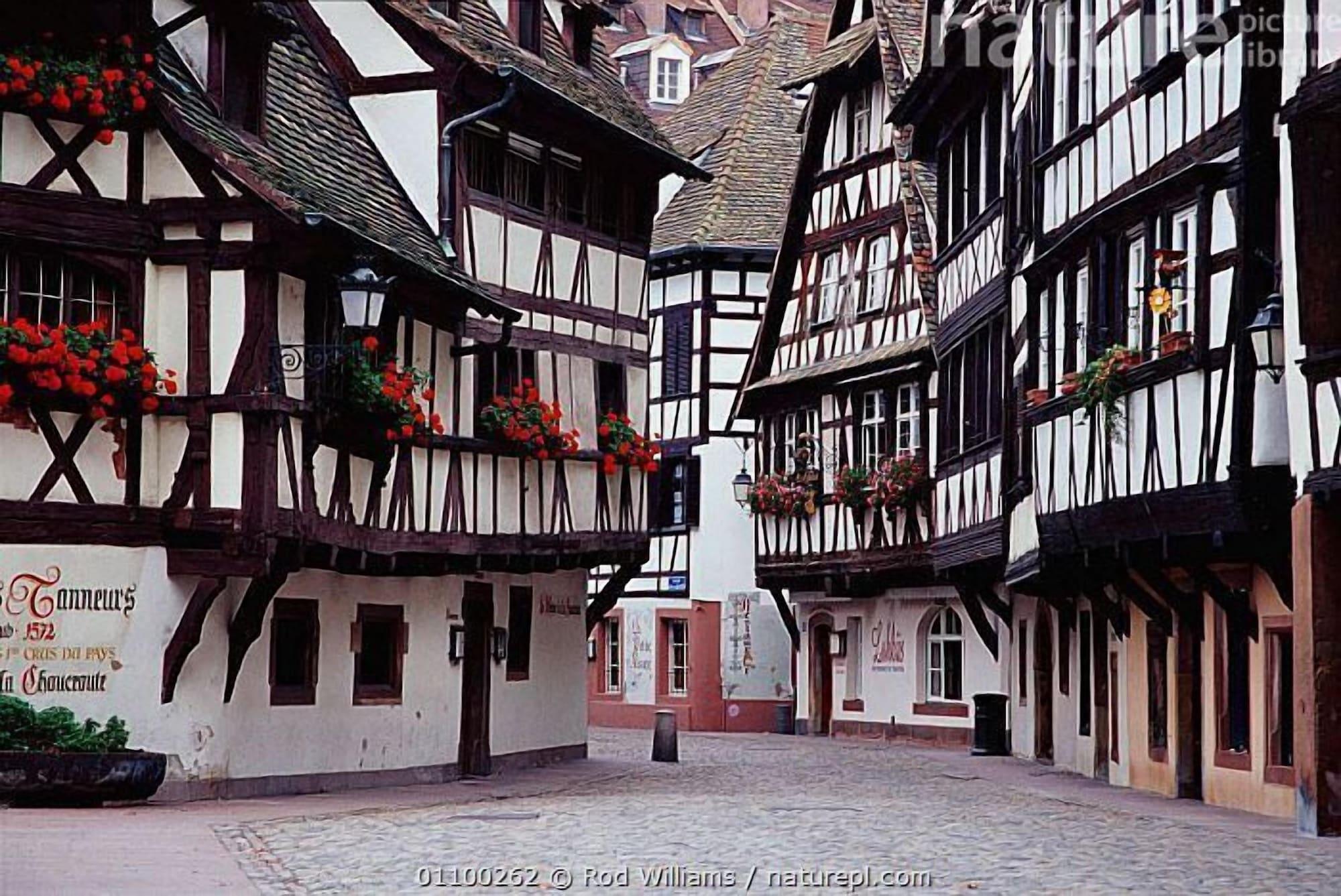 Equipamiento de Habitación Les Rêves de Starbrough