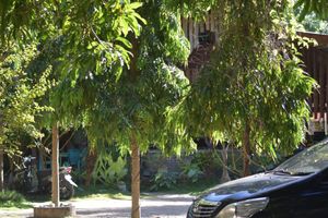 Alojamiento - Del Mar Home Stay and Cafe