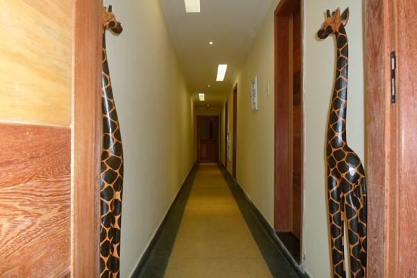 Varios Girafas Hostel