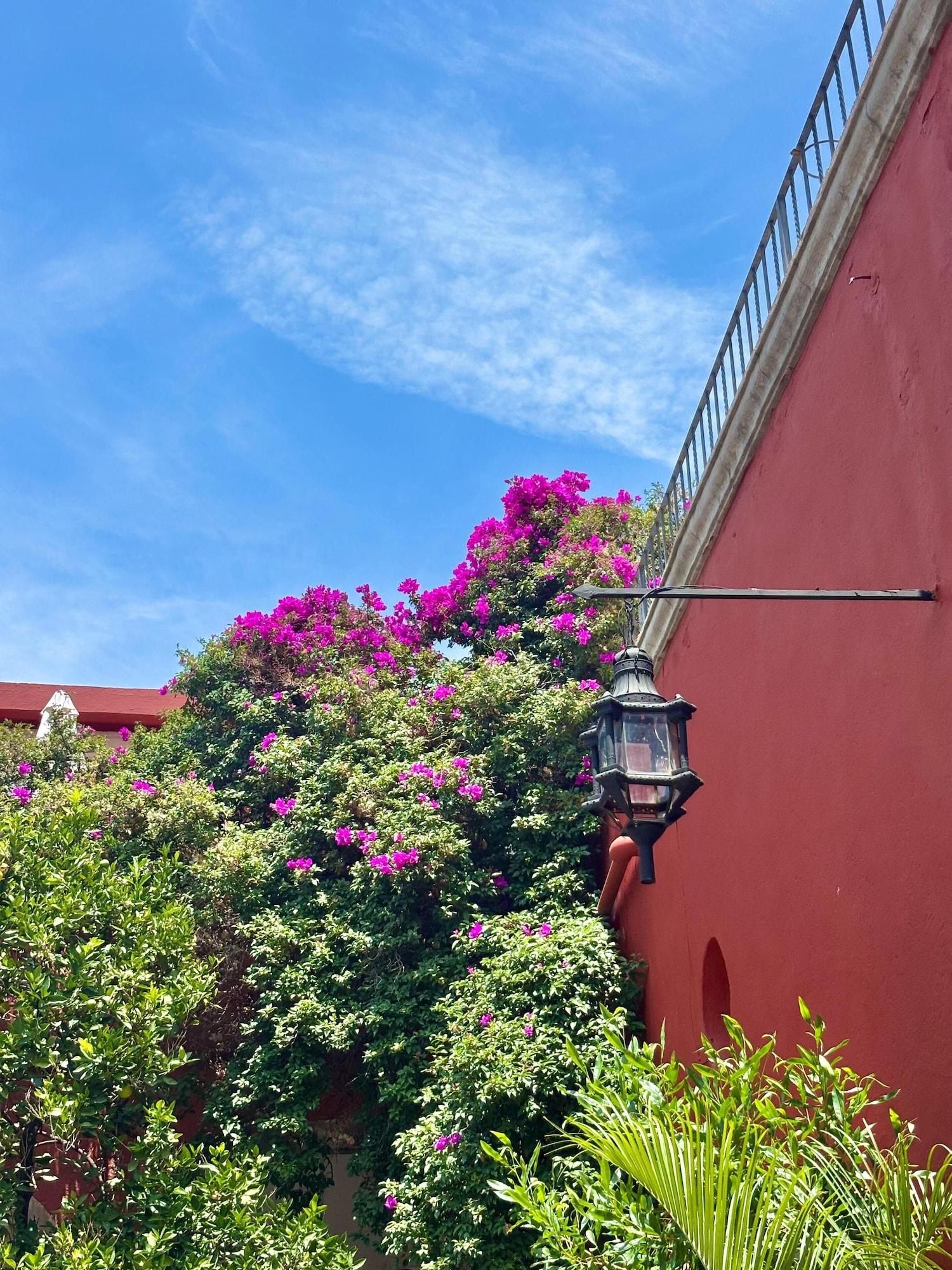 Vista Exterior Hotel Casa Carmen
