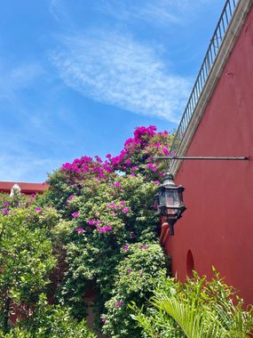 Hotel Casa Carmen - Hoteles solo adultos en San Miguel de Allende, Guanajuato