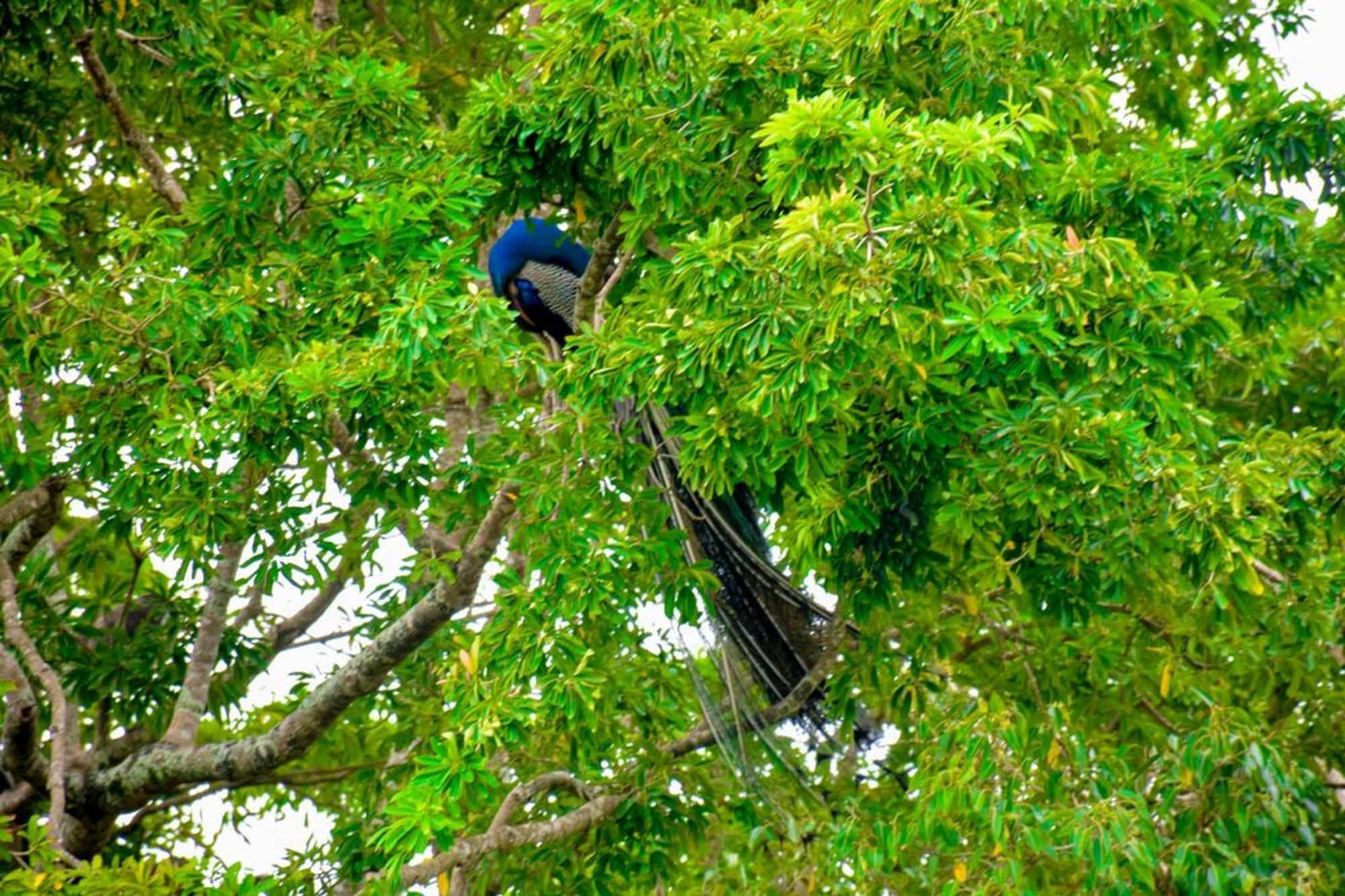 Vista Exterior Hotel Baywatch