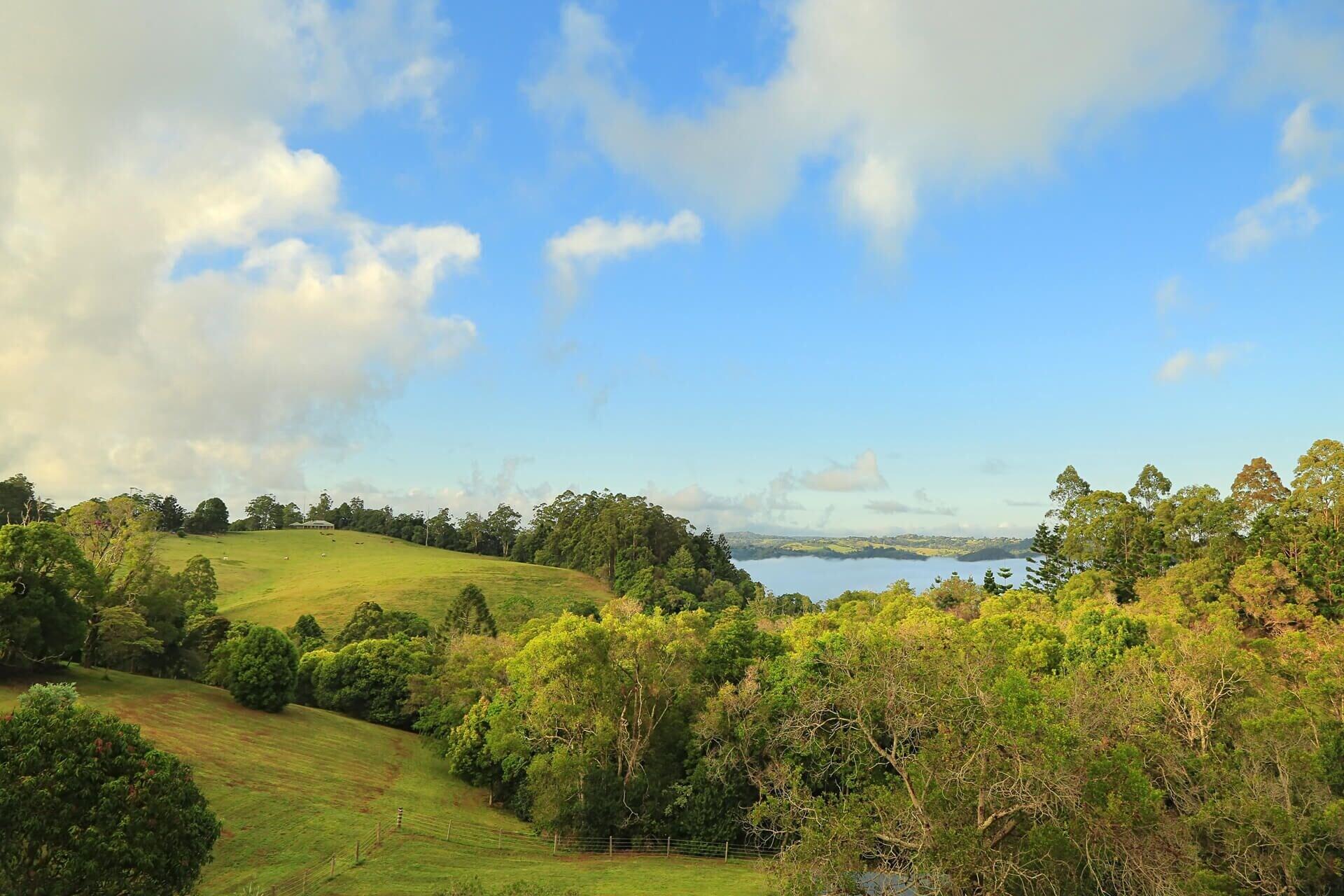 Vista Exterior The Spotted Chook