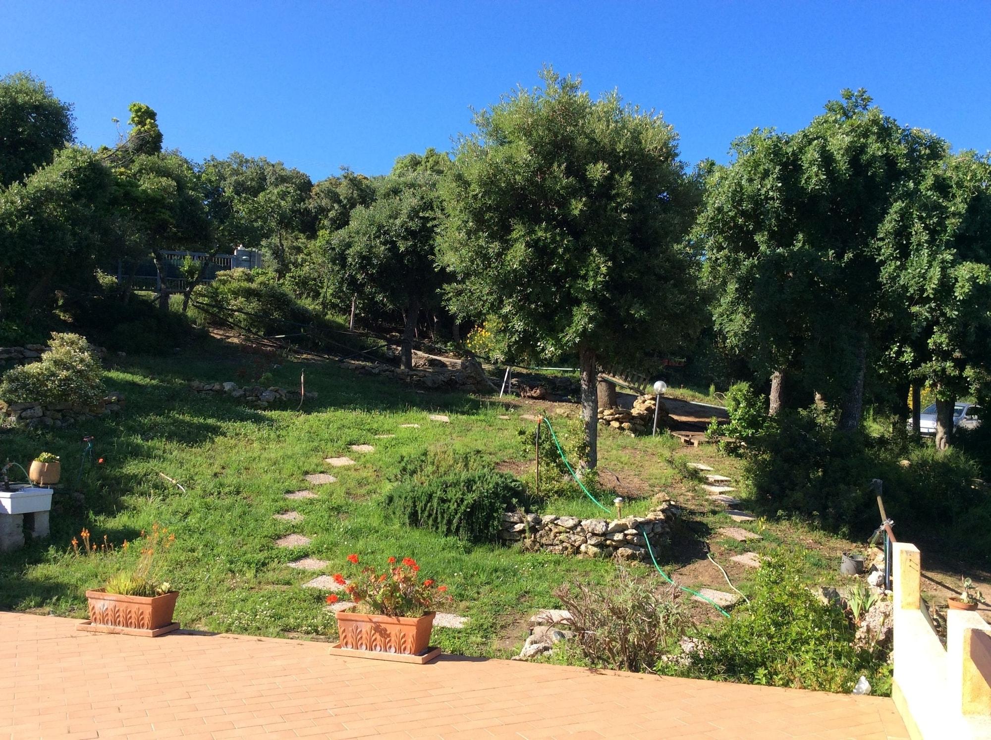 Comodidades del Alojamiento La Valle Dei Corbezzoli