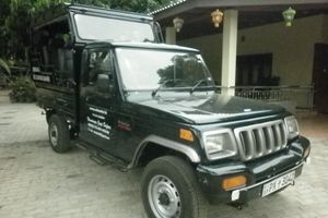 Actividad - Explora el Parque Nacional Udawalawe - Excursión de día completo