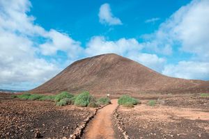 Actividad - Ferri exprés a la isla de Lobos