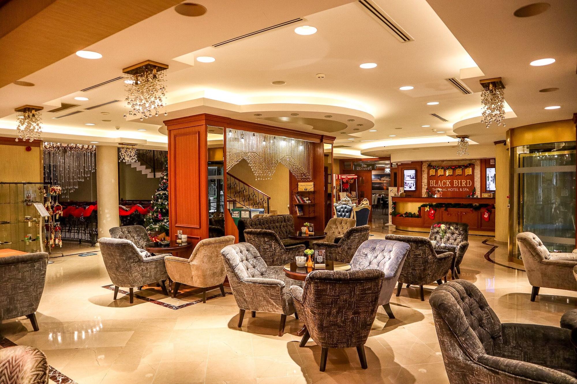 Vista Lobby Black Bird Thermal Hotel & Spa