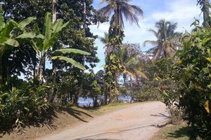 Alojamiento - Playa Negra Guesthouse