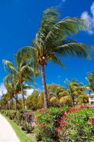 Alojamiento - Resorts World Bimini