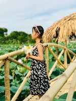 Alojamiento - Tam Coc Craft Homestay