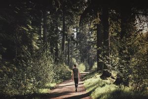 Actividad - Excursión para grupos pequeños a Glen Affric, Culloden y Clava Cairns