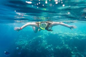 Actividad - Tour de Snorkel en la Granja de Corales La Paz