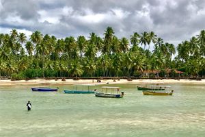 Actividad - Tour a la Playa de Carneiros