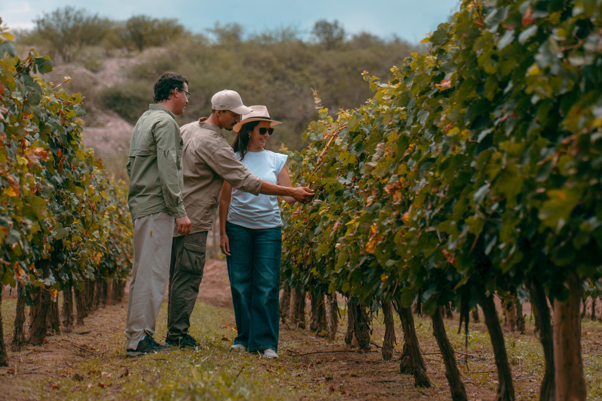 Restaurant Sentio Camps