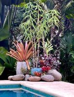 Alquiler Vacacional - Ocean view luxury property with pool in the jungle at 300 m from the beach.