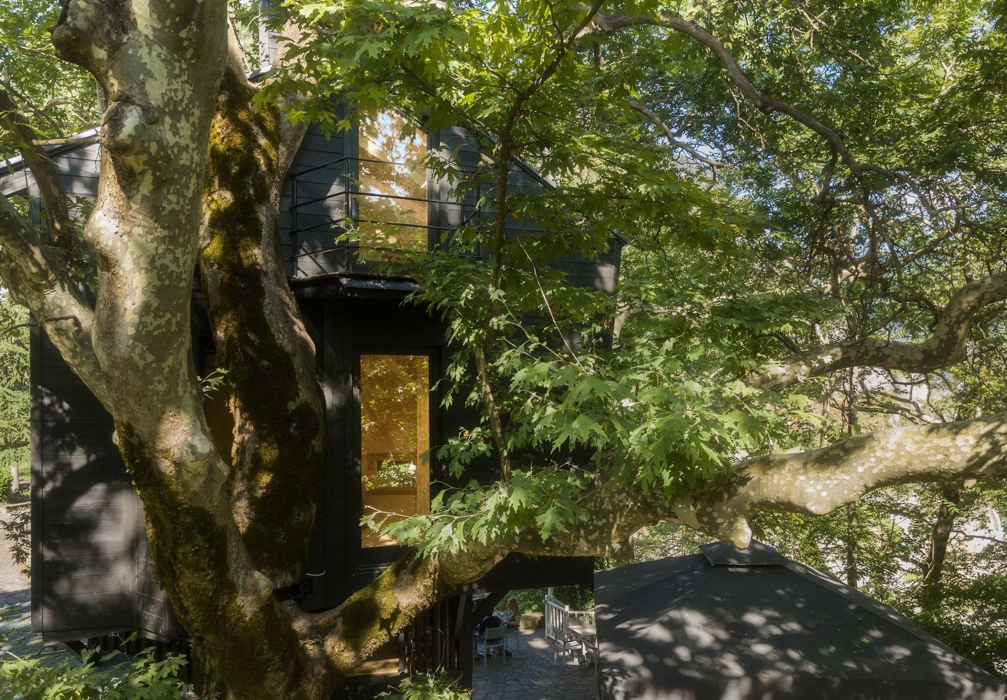 Vista Exterior Aoos river Treehouse