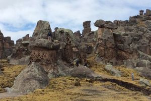 Actividad - Excursión al Santuario Nacional de Huayllay