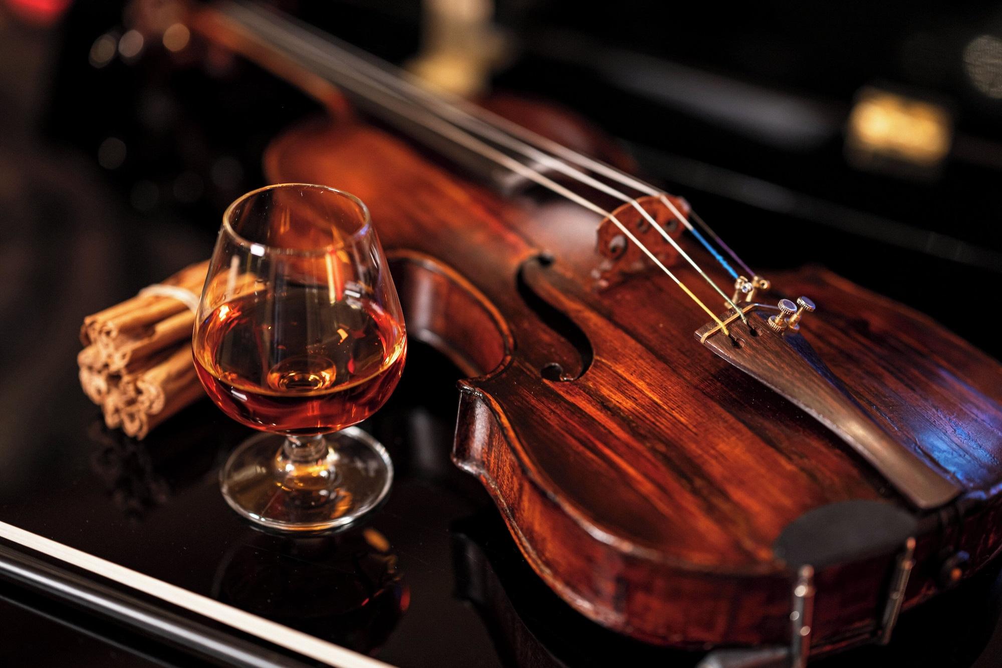 Bar/Salón Starhotels Michelangelo