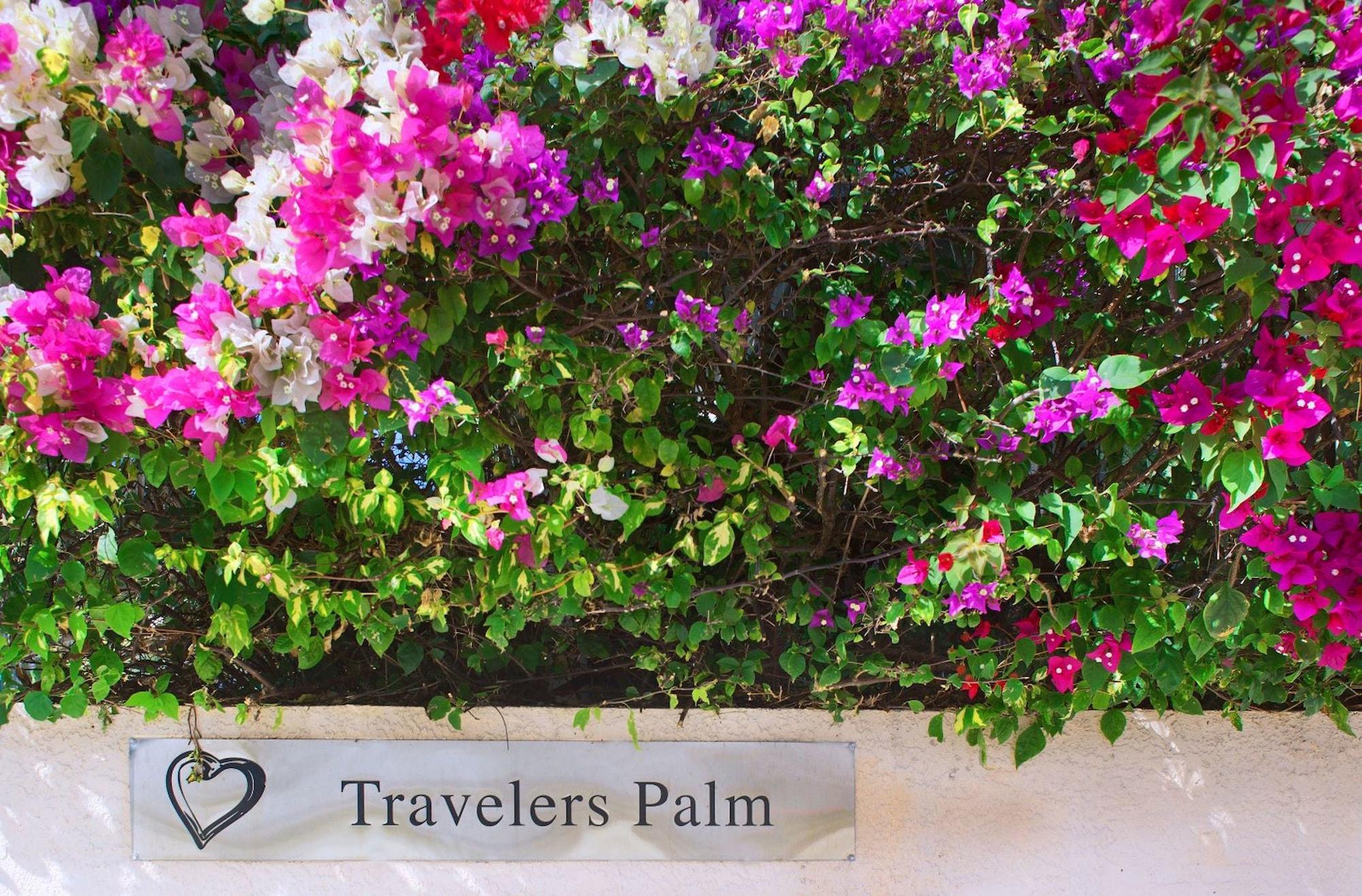 Vista Exterior Travelers Palm