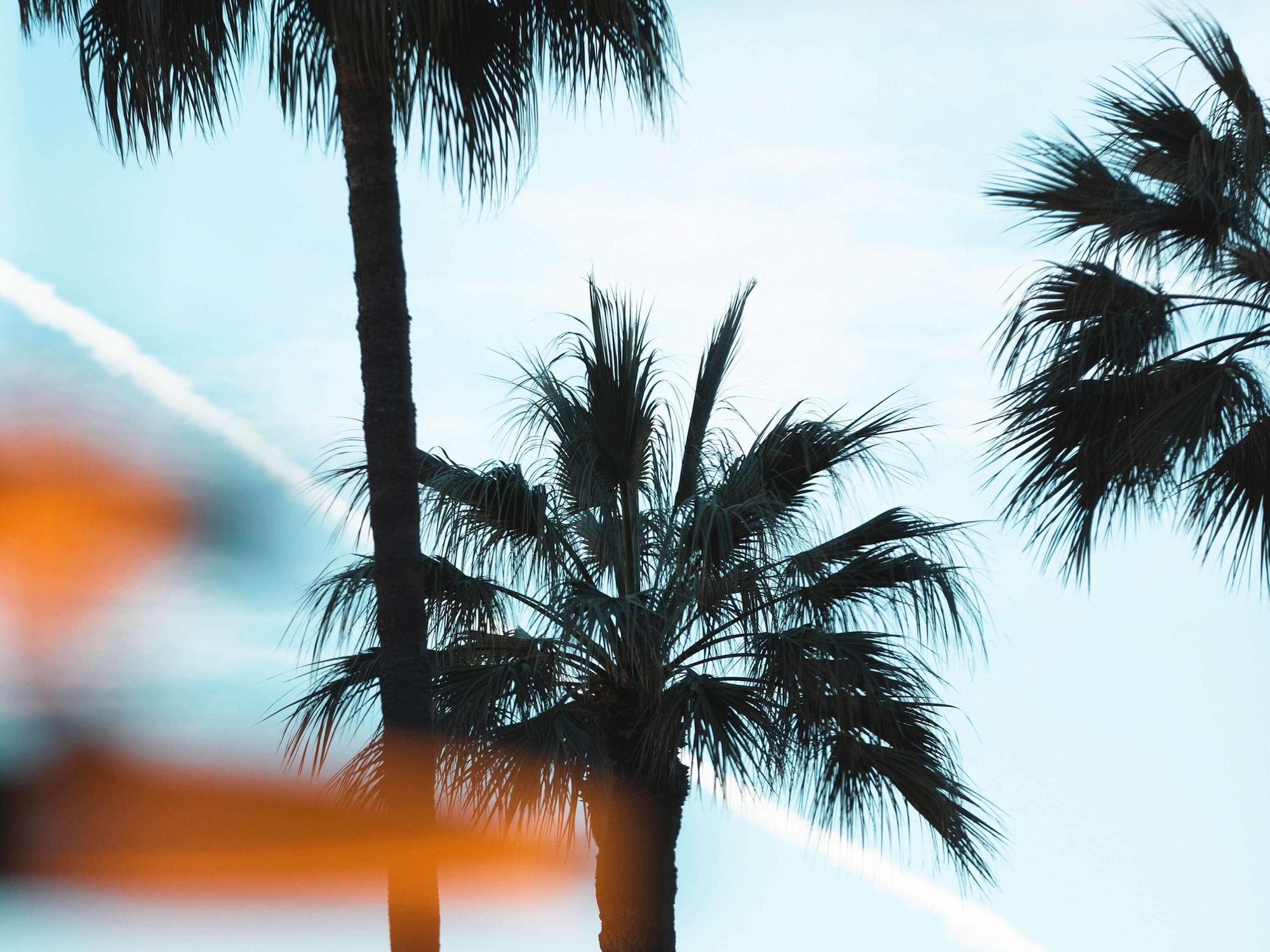 Vista Exterior Mondrian Cannes