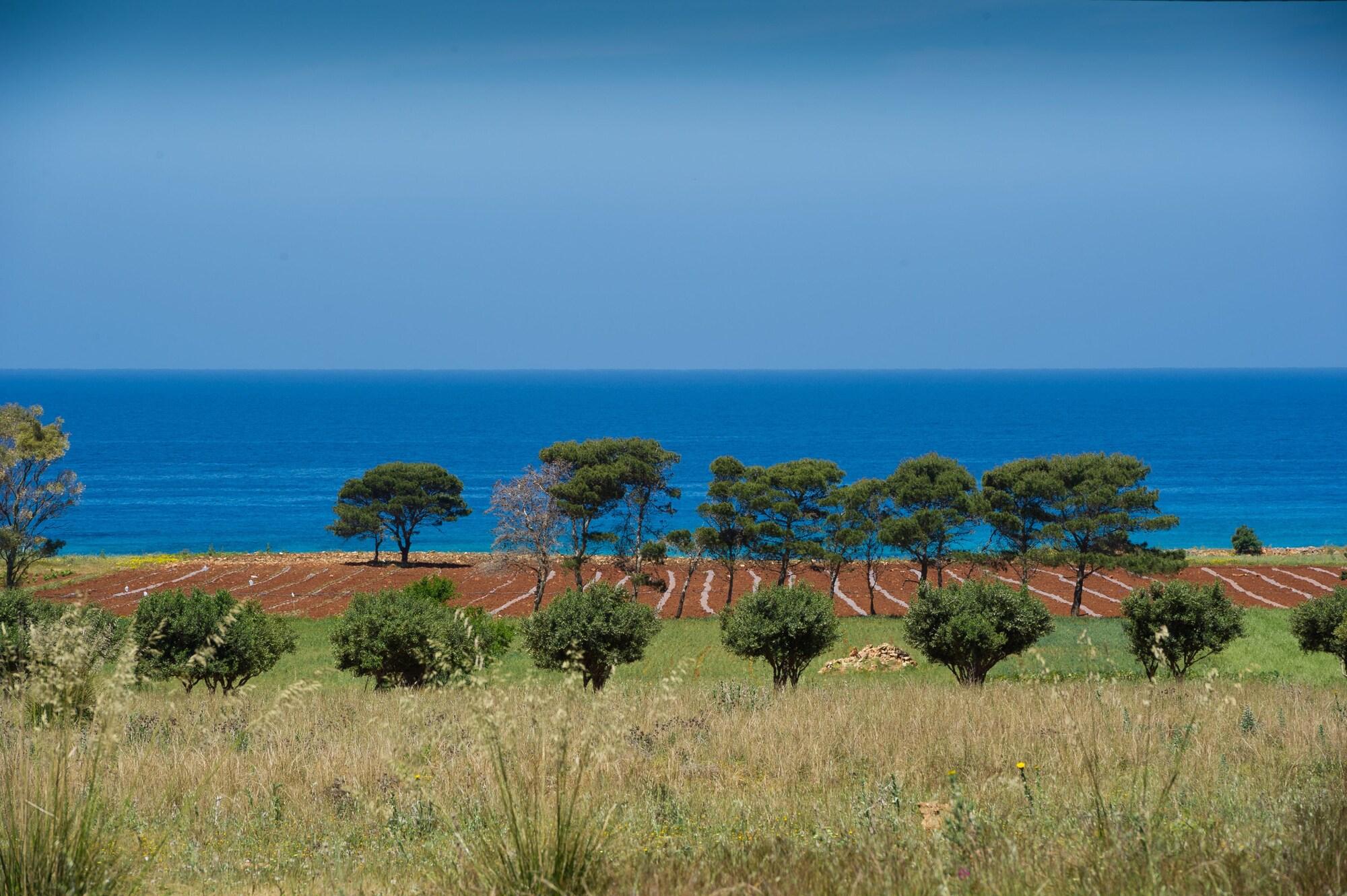 Playa B&B al Cantuccio