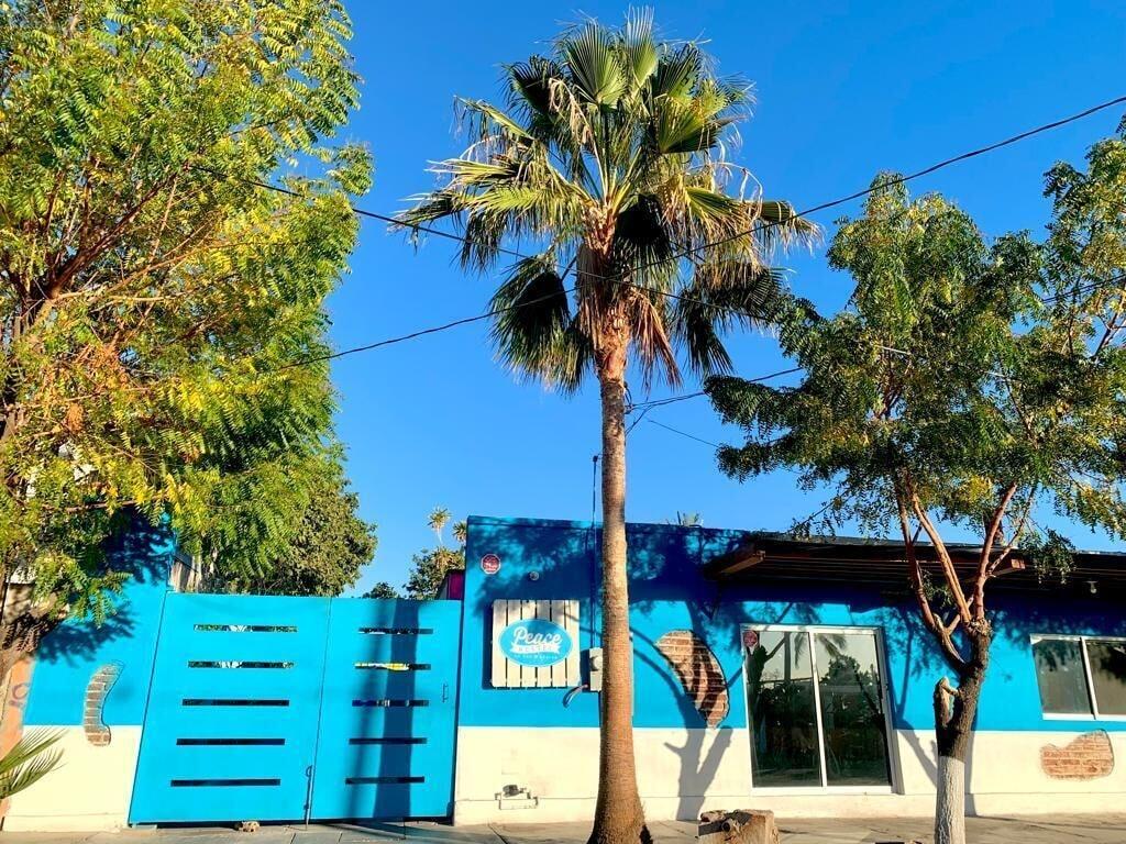 Varios Peace Hostel Mx