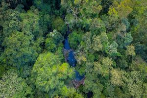 Actividad - Volcán Arenal y Aguas Termales Ecotermales