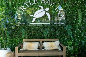 Alojamiento - Turtle Bay Inn