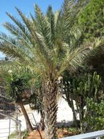 Alojamiento - Baglio il Giovinetto