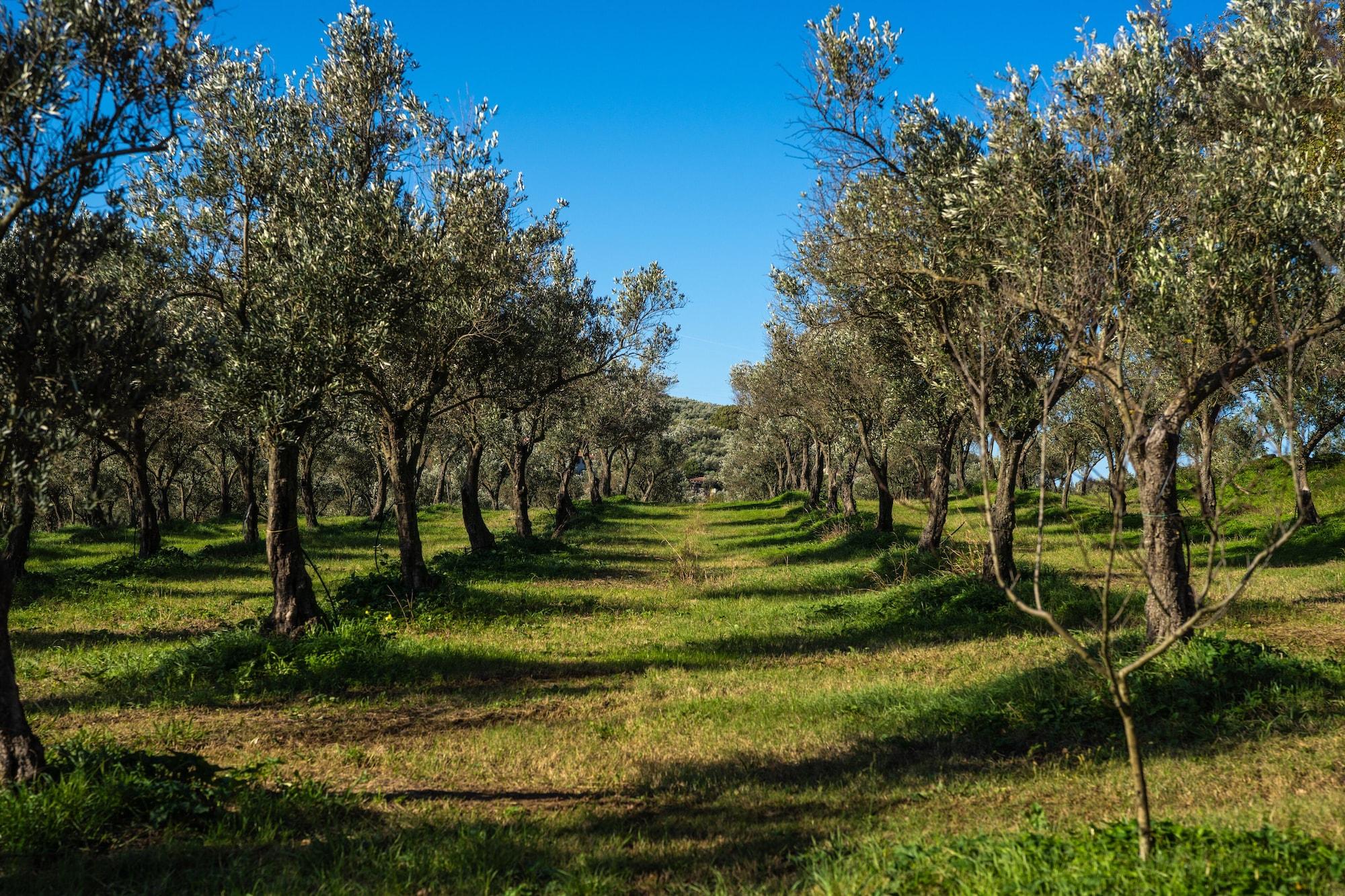 Vista Exterior Agriturismo Costantino