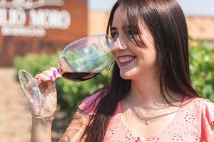 Actividad - Los secretos del vino - Visita a Bodega en Ribera del Duero con Flexibilidad de fecha