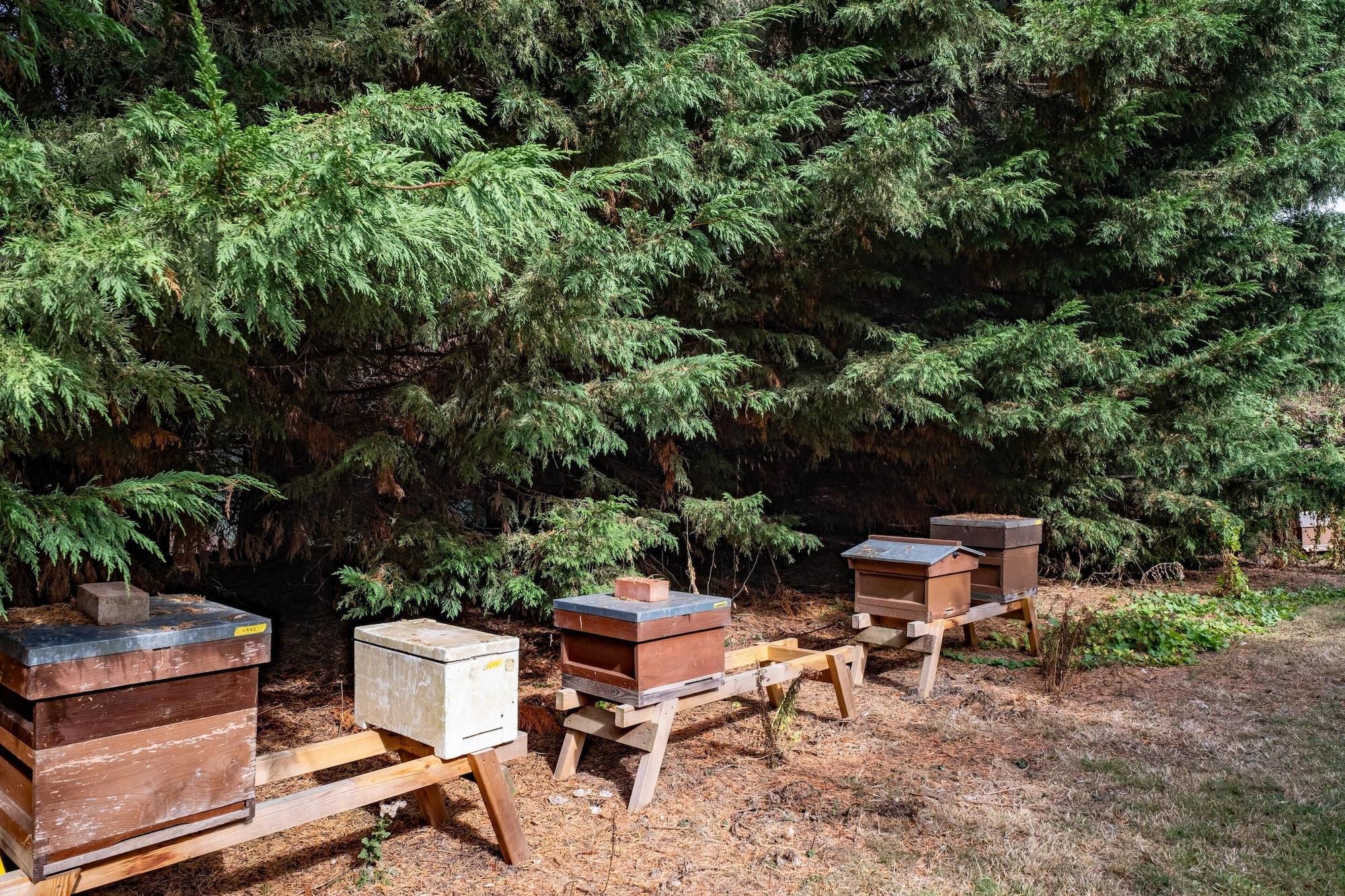 Vista Exterior Clarion Hotel Charlecote Pheasant