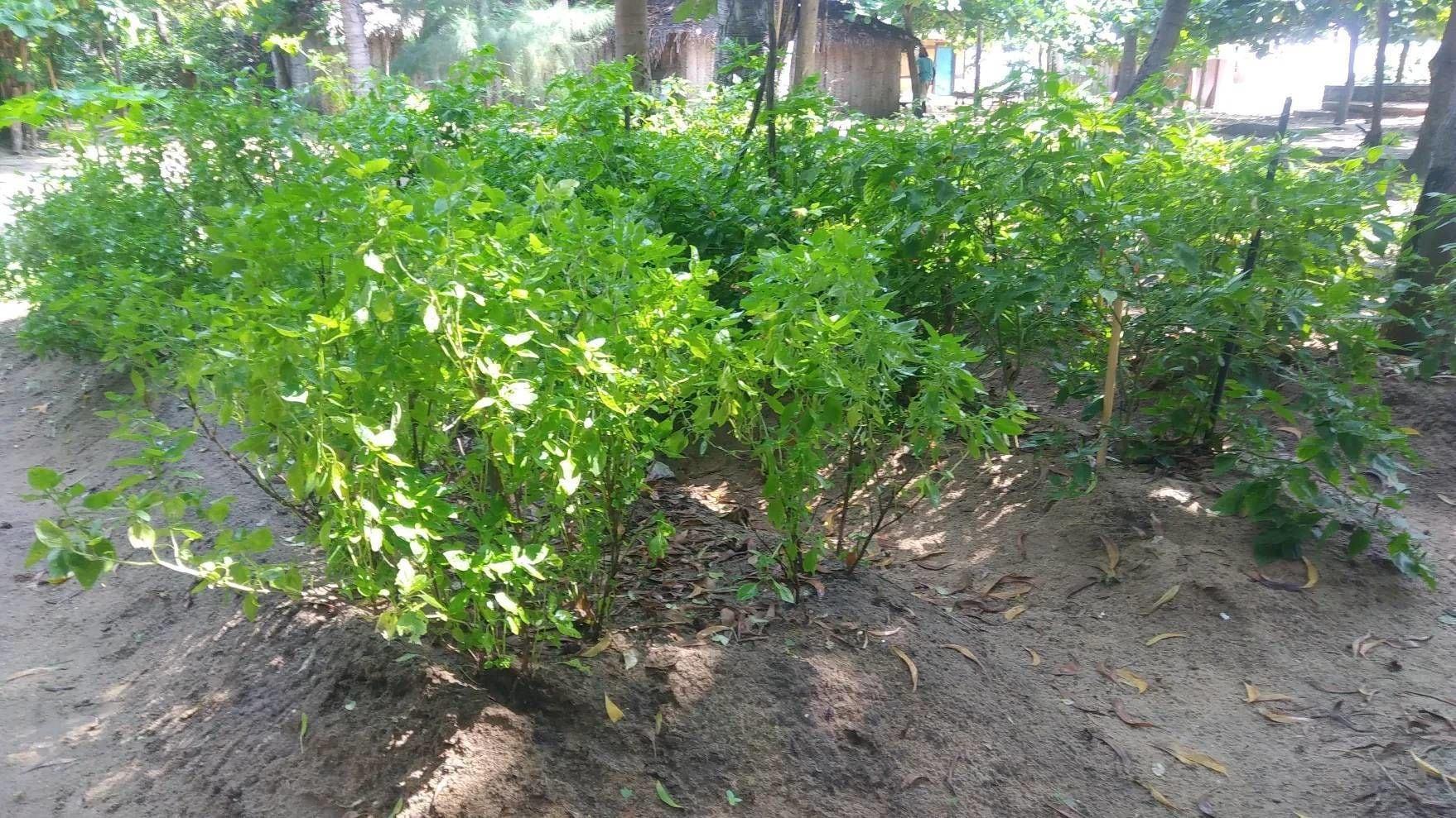 Comodidades del Alojamiento D&J Stamford Hotel - Hostel