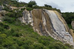 Actividad - Visita El Tule, Mitla, Hierve el Agua y Mezcal