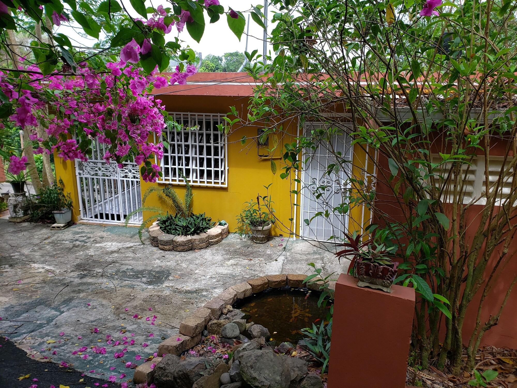 Varios Casa Clara Vista