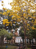 Alojamiento - Hotel San Gil Casa Colonial